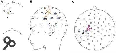 Local Differences in Cortical Excitability – A Systematic Mapping Study of the TMS-Evoked N100 Component